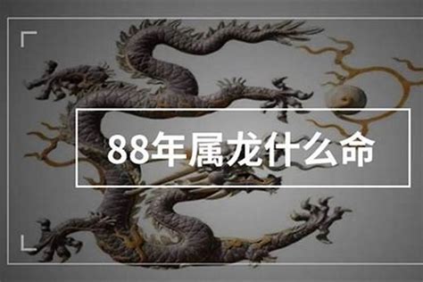 1988 龙 五行|88年的龙是什么命五行属什么 88年的龙是什么命无限缺什么